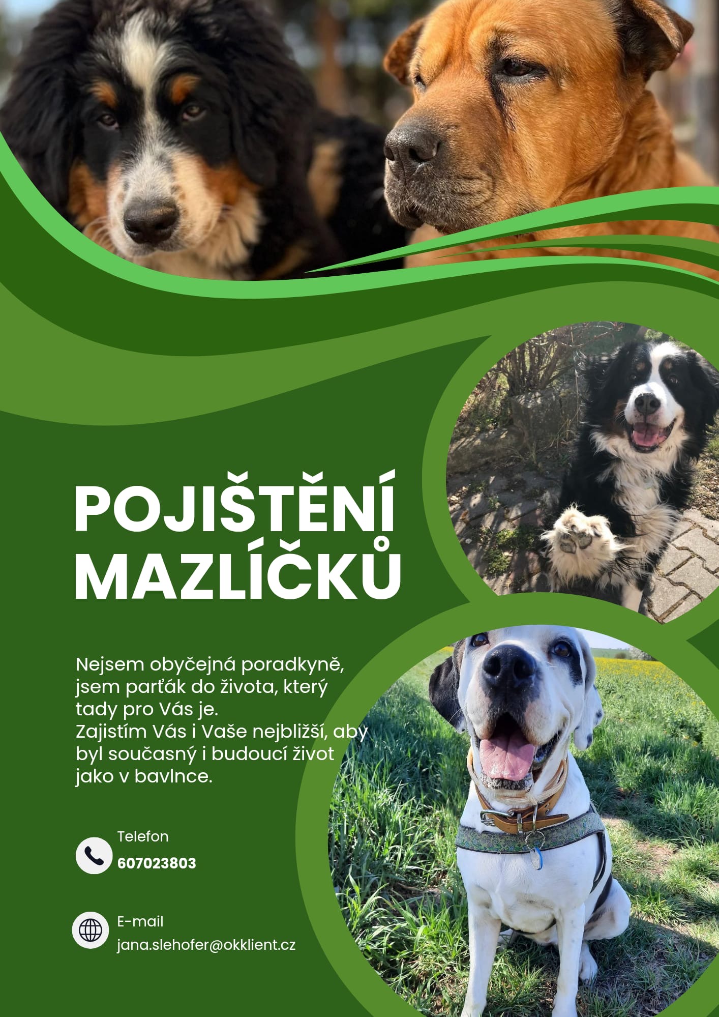 c774484e-c21d-461d-a04b-64c525dd5a97